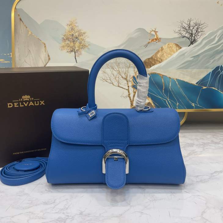 Picture of Delvaux Handbags _SKUfw176137109fw